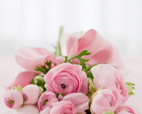 There are three standards that define a natural burial: there can be no embalming, no vaults, and all burial containers or shrouds must be biodegradable. It is the choice consistent with the desire to limit one’s impact on the environment. At Potts Mountain, the land will always remain as it is now—an undeveloped natural habitat, unchanged by the burials except for the nourishment provided by those laid to rest, offering their final act of environmental kindness to the land.