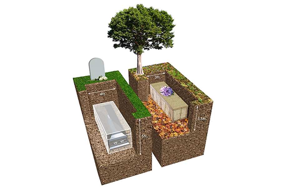 Potts Mountain Burial Ground is a green cemetery on perpetually conserved land. This graphic shows the difference between traditional burial and green or natural burial. At PMBG, we help conserve natural resources including restoration and preservation of habitat. There are approximately 85 hardwood packed acres on the mountain for this cost effective and natural method of burial.